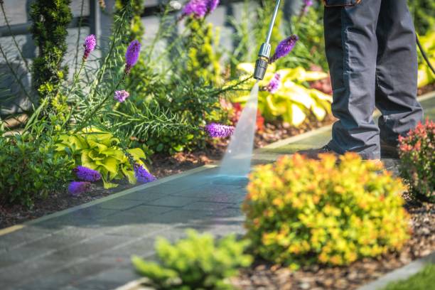 Best Gutter Cleaning  in Boonville, CA